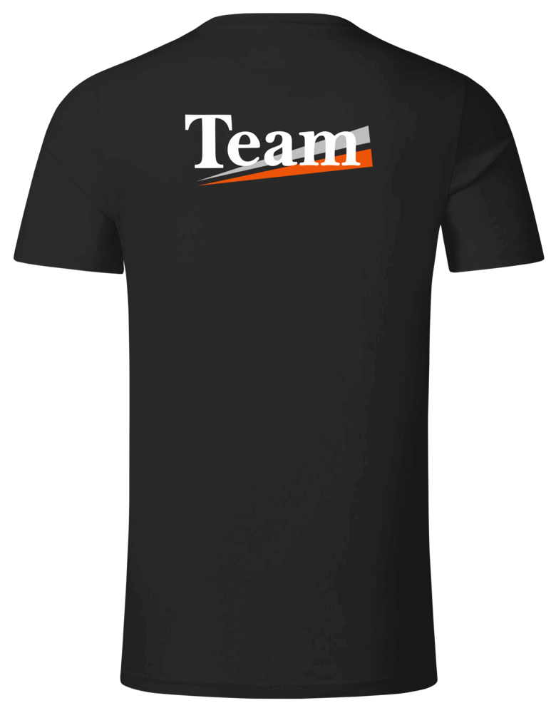 Camiseta McLaren Mercedes Team MP4/17