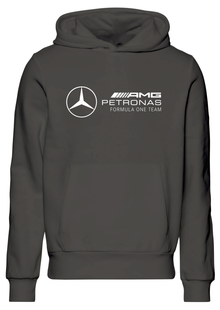 Moletom com capuz Mercedes AMG Petronas F1 Team 2023 Team