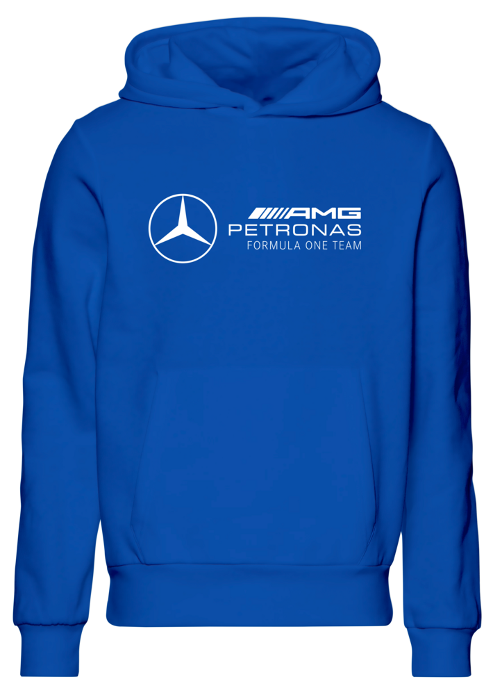 Moletom com capuz Mercedes AMG Petronas F1 Team 2023 Team