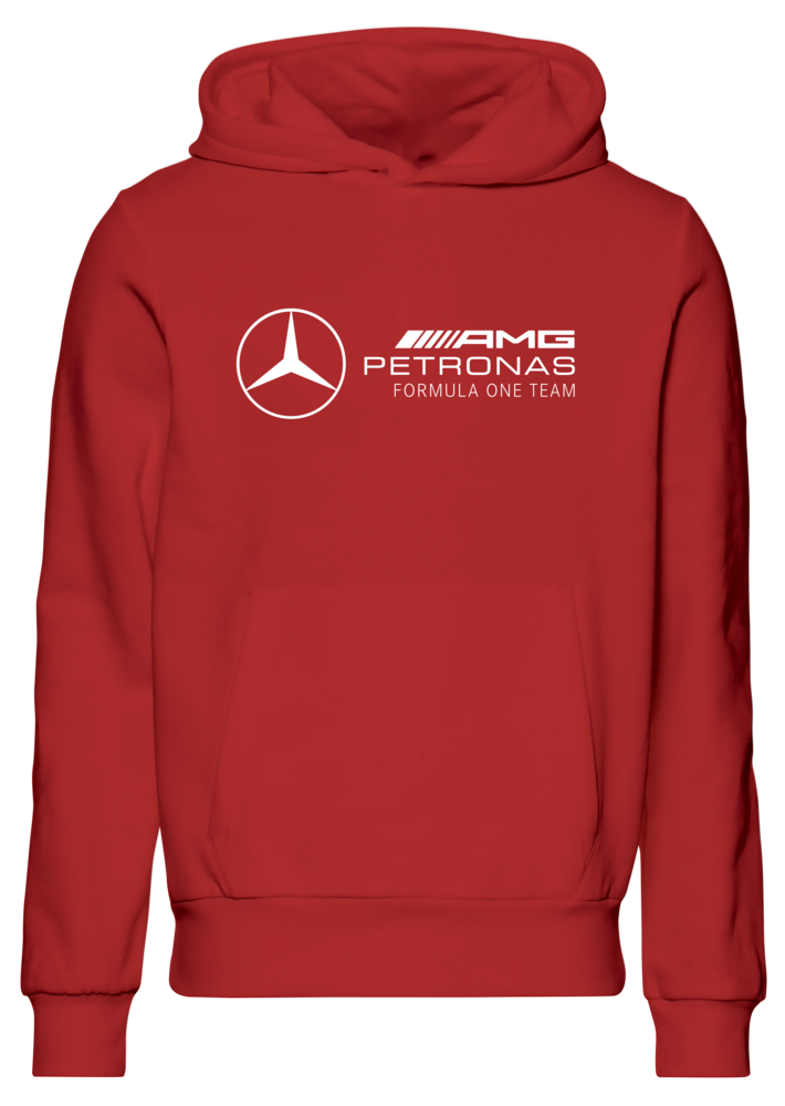 Moletom com capuz Mercedes AMG Petronas F1 Team 2023 Team