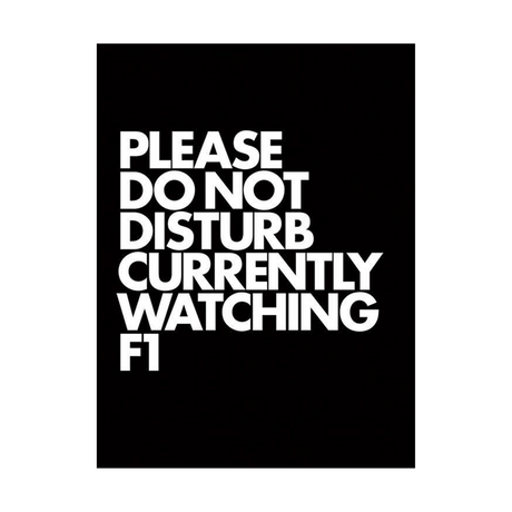 Quadro Decorativo Please Do Not Disturb Currently Watching F1