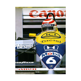 Quadro Decorativo Nelson Piquet FW11B Williams Racing F1 1987