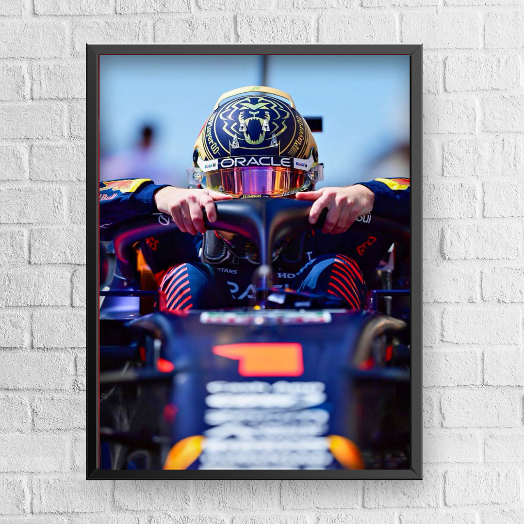 Quadro Decorativo Max Verstappen Qatar Grand Prix 2023