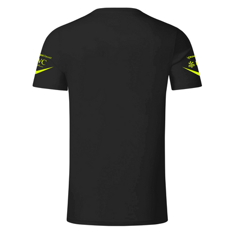 Camiseta Lewis Hamilton 44 Mercedes AMG Petronas F1 2024 Preta