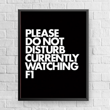 Quadro Decorativo Please Do Not Disturb Currently Watching F1